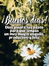 ¡BUENOS DÍAS! DIOS GUIARÁ TUS PASOS PARA QUE TENGAS UN MES MUY TRANQUILO Y PRODUCTIVO