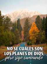 NO SÉ CUÁLES SON LOS PLANES DE DIOS, PERO SIGO CAMINANDO