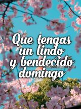 QUE TENGAS UN LINDO Y BENDECIDO DOMINGO