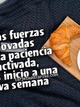 CON LAS FUERZAS RENOVADAS Y CON LA PACIENCIA REACTIVADA, DAMOS INICIO A UNA NUEVA SEMANA