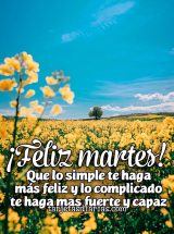 ¡FELIZ MARTES! QUE LO SIMPLE TE HAGA MÁS FELIZ Y LO COMPLICADO TE HAGA MÁS FUERTE Y CAPAZ