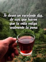 TE DESEO UN EXCELENTE DÍA, DE ESOS QUE HACEN QUE LA VIDA VALGA REALMENTE LA PENA