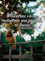 MIENTRAS VIVAS, MIENTRAS SEA POSIBLE, SÉ BUENO