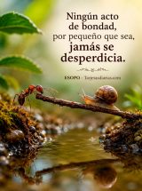 NINGÚN ACTO DE BONDAD, POR PEQUEÑO QUE SEA, JAMÁS SE DESPERDICIA