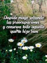 DESPIDE MAYO SOLTANDO LAS PREOCUPACIONES Y CONSERVA TODO AQUELLO QUE TE HIZO BIEN
