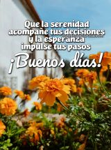 QUE LA SERENIDAD ACOMPAÑE TUS DECISIONES Y LA ESPERANZA IMPULSE TUS PASOS. ¡BUENOS DÍAS!