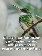ORA PARA QUE TODO MEJORE Y UNA VEZ SUCEDA, REFUERZA TUS ORACIONES PARA QUE TODO SE MANTENGA