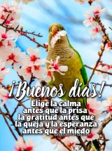 ¡BUENOS DÍAS! ELIGE LA CALMA ANTES QUE LA PRISA, LA GRATITUD ANTES QUE LA QUEJA Y LA ESPERANZA ANTES QUE EL MIEDO