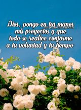 DIOS, PONGO EN TUS MANOS MIS PROYECTOS Y QUE TODO SE REALICE CONFORME A TU VOLUNTAD Y TU TIEMPO