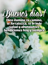 ¡BUENOS DÍAS! DIOS ILUMINE TU CAMINO, TE FORTALEZCA, TE BRINDE SALUD Y ABUNDANTES BENDICIONES HOY Y SIEMPRE