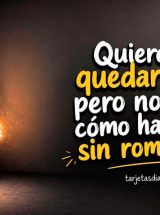 QUIERO QUEDARME, PERO NO SÉ CÓMO HACERLO SIN ROMPERME
