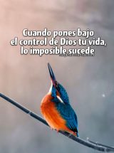 CUANDO PONES BAJO EL CONTROL DE DIOS TU VIDA, LO IMPOSIBLE SUCEDE