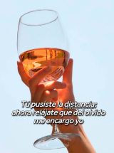 TÚ PUSISTE LA DISTANCIA; AHORA RELÁJATE QUE DEL OLVIDO ME ENCARGO YO