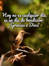 HOY NO ES CUALQUIER DÍA, ES UN DÍA DE BENDICIÓN. ¡GRACIAS A DIOS!
