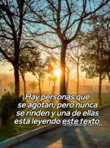 HAY PERSONAS QUE SE AGOTAN, PERO NUNCA SE RINDEN Y UNA DE ELLAS ESTÁ LEYENDO ESTE TEXTO