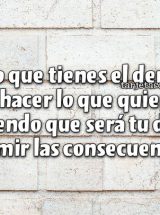 CLARO QUE TIENES EL DERECHO DE HACER LO QUE QUIERAS, SABIENDO QUE SERÁ TU DEBER ASUMIR LAS CONSECUENCIAS