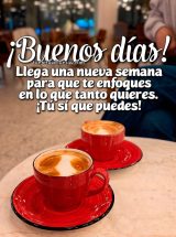 ¡BUENOS DÍAS! LLEGA UNA NUEVA SEMANA PARA QUE TE ENFOQUES EN LO QUE TANTO QUIERES. ¡TÚ SÍ QUE PUEDES!