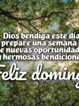 DIOS BENDIGA ESTE DÍA Y TE PREPARE UNA SEMANA LLENA DE NUEVAS OPORTUNIDADES Y HERMOSAS BENDICIONES. ¡FELIZ DOMINGO!