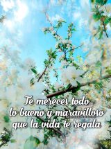 TE MERECES TODO LO BUENO Y MARAVILLOSO QUE LA VIDA TE REGALA