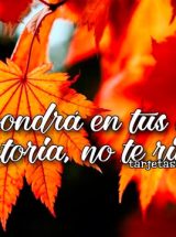 DIOS PONDRÁ EN TUS MANOS LA VICTORIA, NO TE RINDAS