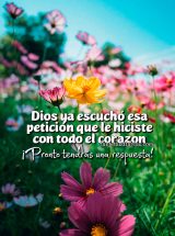 DIOS YA ESCUCHÓ ESA PETICIÓN QUE LE HICISTE CON TODO EL CORAZÓN