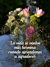 LA VIDA SE VUELVE MÁS HERMOSA CUANDO APRENDEMOS A AGRADECER