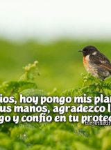 DIOS, HOY PONGO MIS PLANES EN TUS MANOS, AGRADEZCO LO QUE TENGO Y CONFÍO EN TU PROTECCIÓN