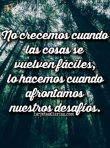 NO CRECEMOS CUANDO LAS COSAS SE VUELVEN FÁCILES, LO HACEMOS CUANDO AFRONTAMOS NUESTROS DESAFÍOS