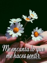 ME ENCANTA LO QUE ME HACES SENTIR